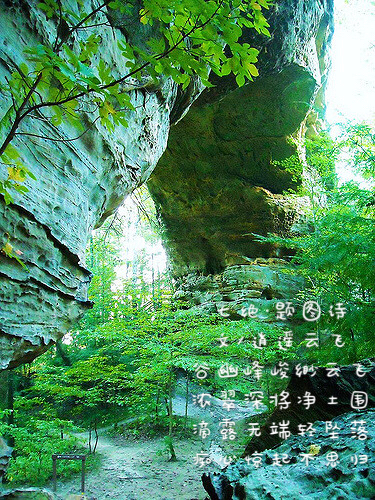 D50A02D1-0D43-434B-A717-7A96297F8CE2.jpeg