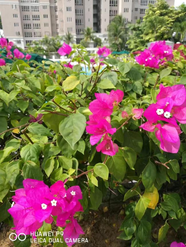 20180712165055_39864.jpg