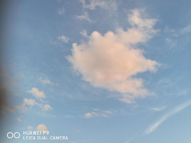20180807110755_65500.jpg