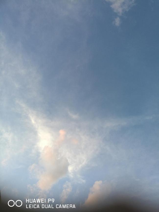 20180807110759_22842.jpg