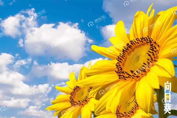 20180808024420_97851.jpg 20180808024420_97851.jpg