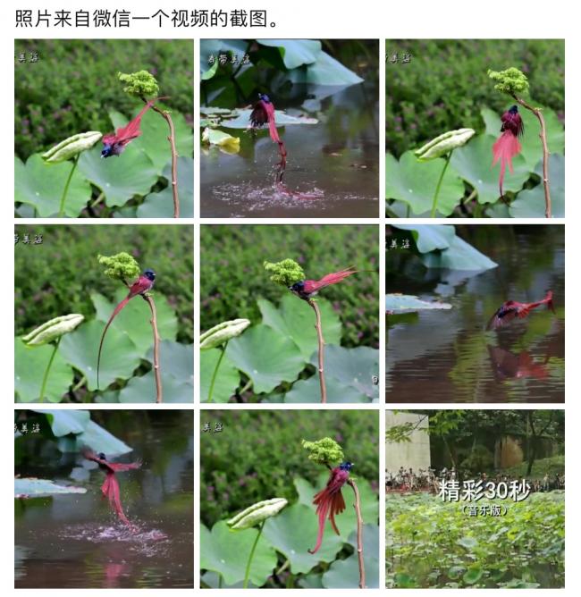 18DB8C72-07A6-447E-B47C-7571CC307821.jpeg
