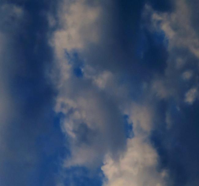 20180828202459_17920.jpg