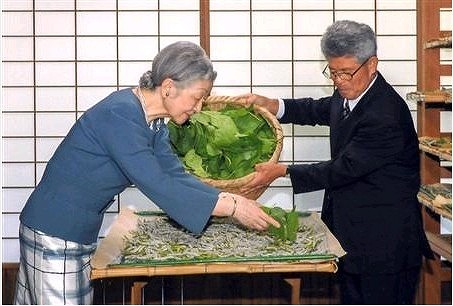 20180829193434_45534.jpg 544.jpg