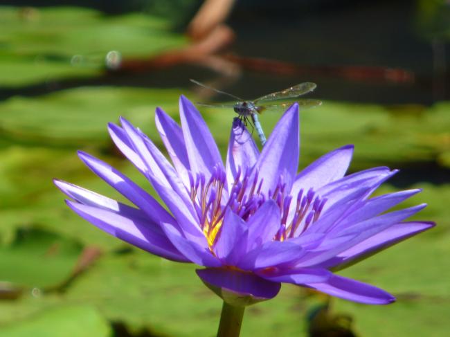 20180902201055_71248.jpg P1220640.JPG