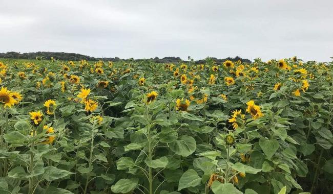 20180906120414_90277.jpg