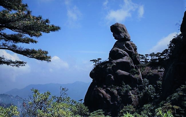 20180922005221_47796.jpg