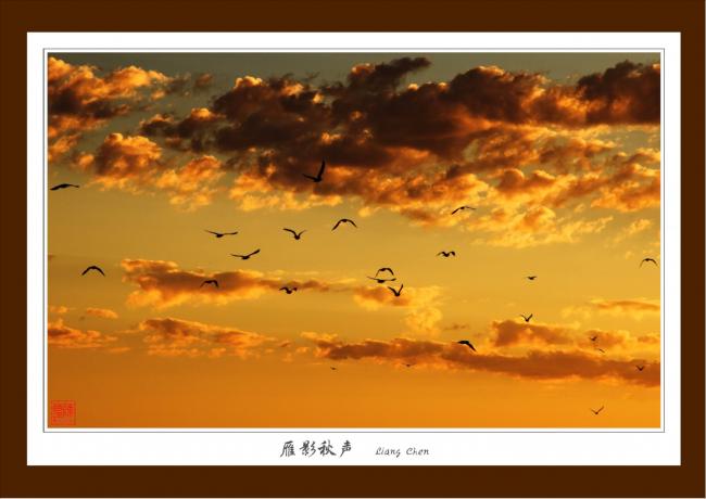�Ĵ�Ұ����_��ͼ��-066_H.jpg