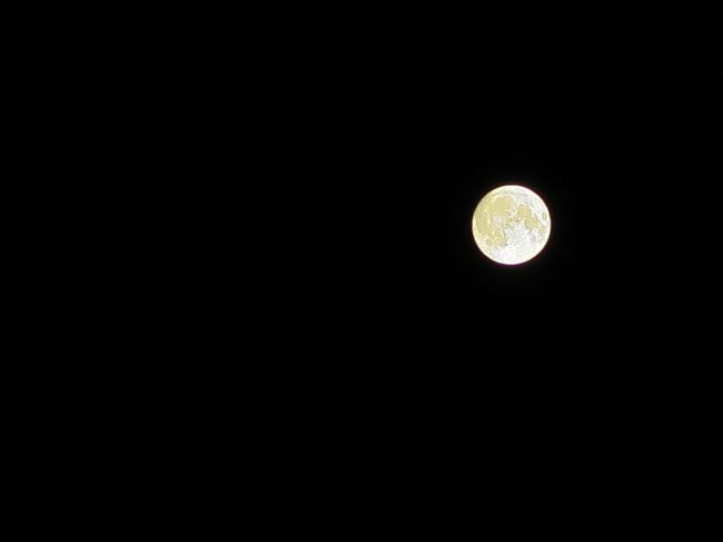 20180926144108_40379.jpg IMG_4710.jpg