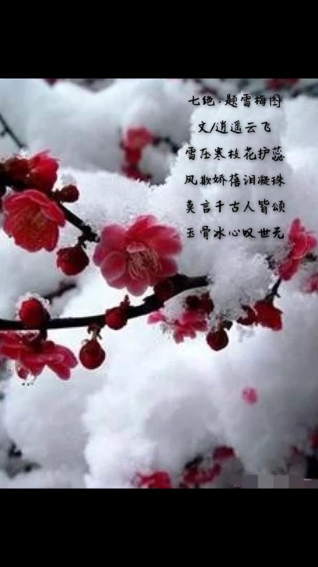 F7D3CB4B-B78B-4979-B73E-1C7CA7B2589F.jpeg