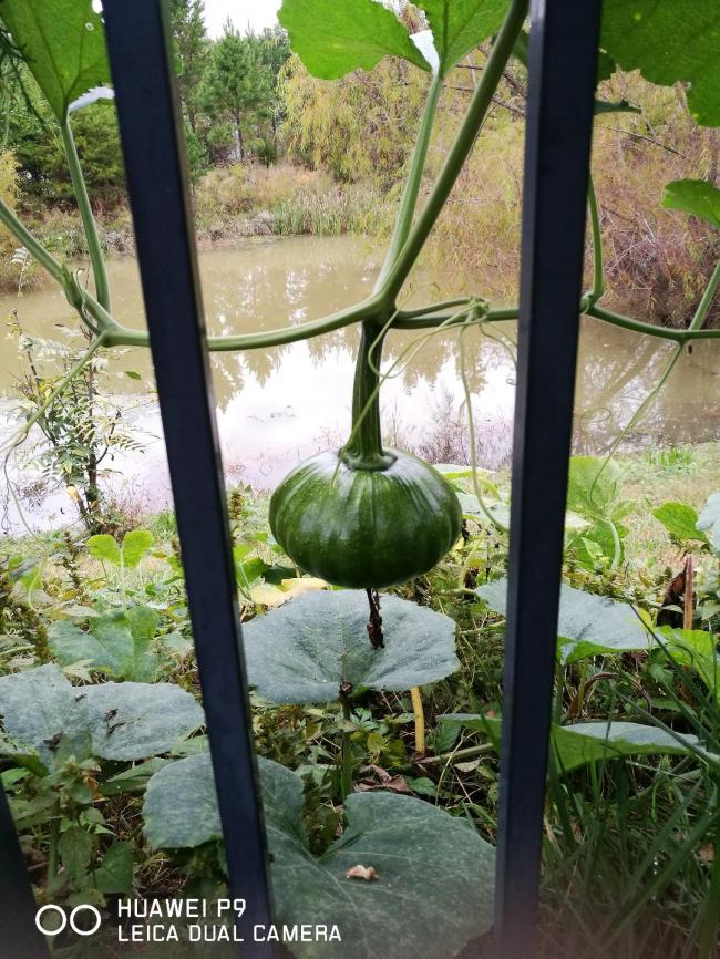 20181016063405_50798.jpg 5.jpg