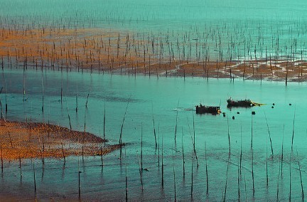 20181025010213_69328.jpg 641e3739ly1fvp9k8y0m1j20c007wq3v.jpg