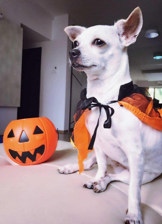 20181028002250_92496.jpg