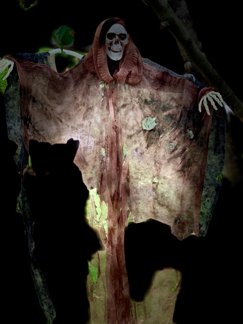 2018 Halloween 2.jpg