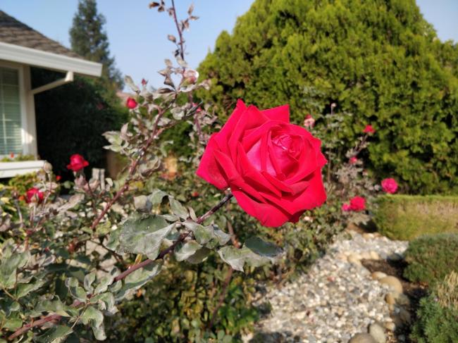 20181119110302_41590.jpg IMG_20181118_101101.jpg