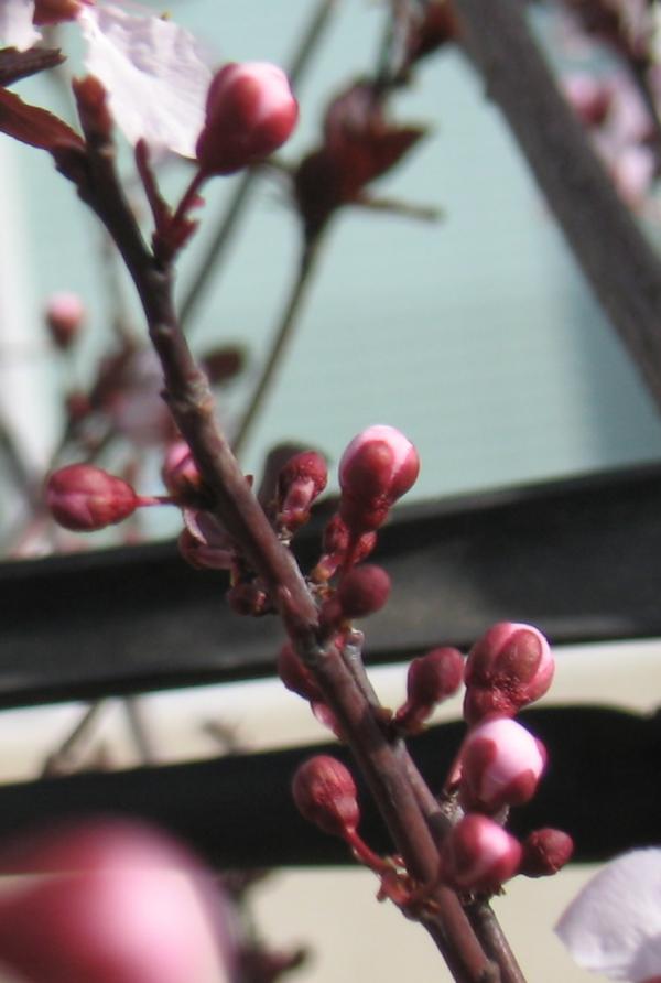 20190111233957_53055.jpg