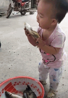 cfdd795.gif