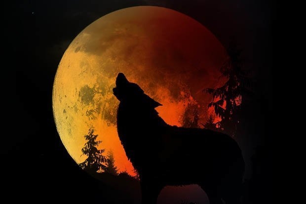 20190123040549_42214.jpg Super-Blood-Wolf-Moon-UK-how-total-lunar-eclipse-affect-you-752178.jpg