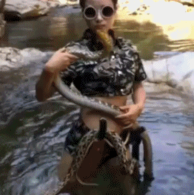 aeeaf51.gif