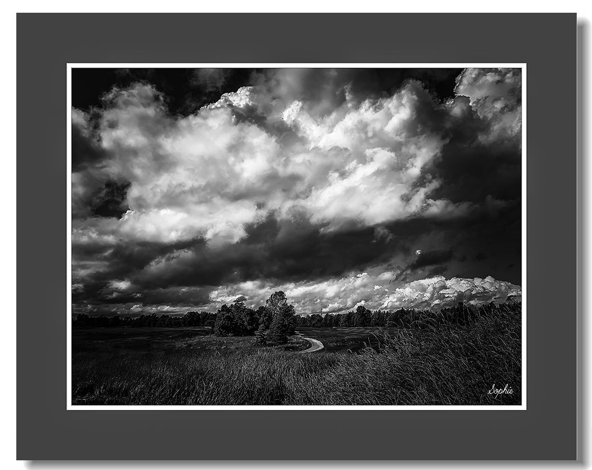 20190625170847_19190.jpg IMG_E6028as.jpg