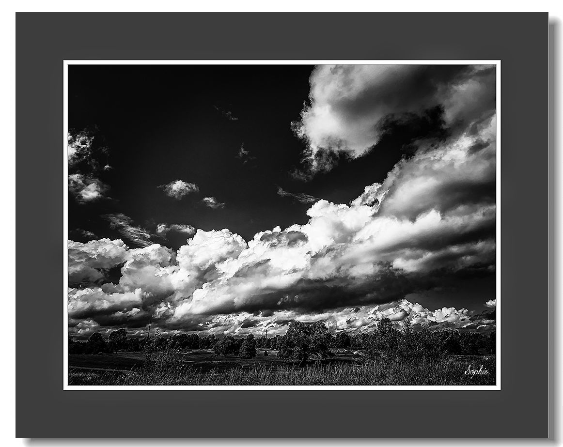 20190625170929_87580.jpg IMG_E6024ass.jpg