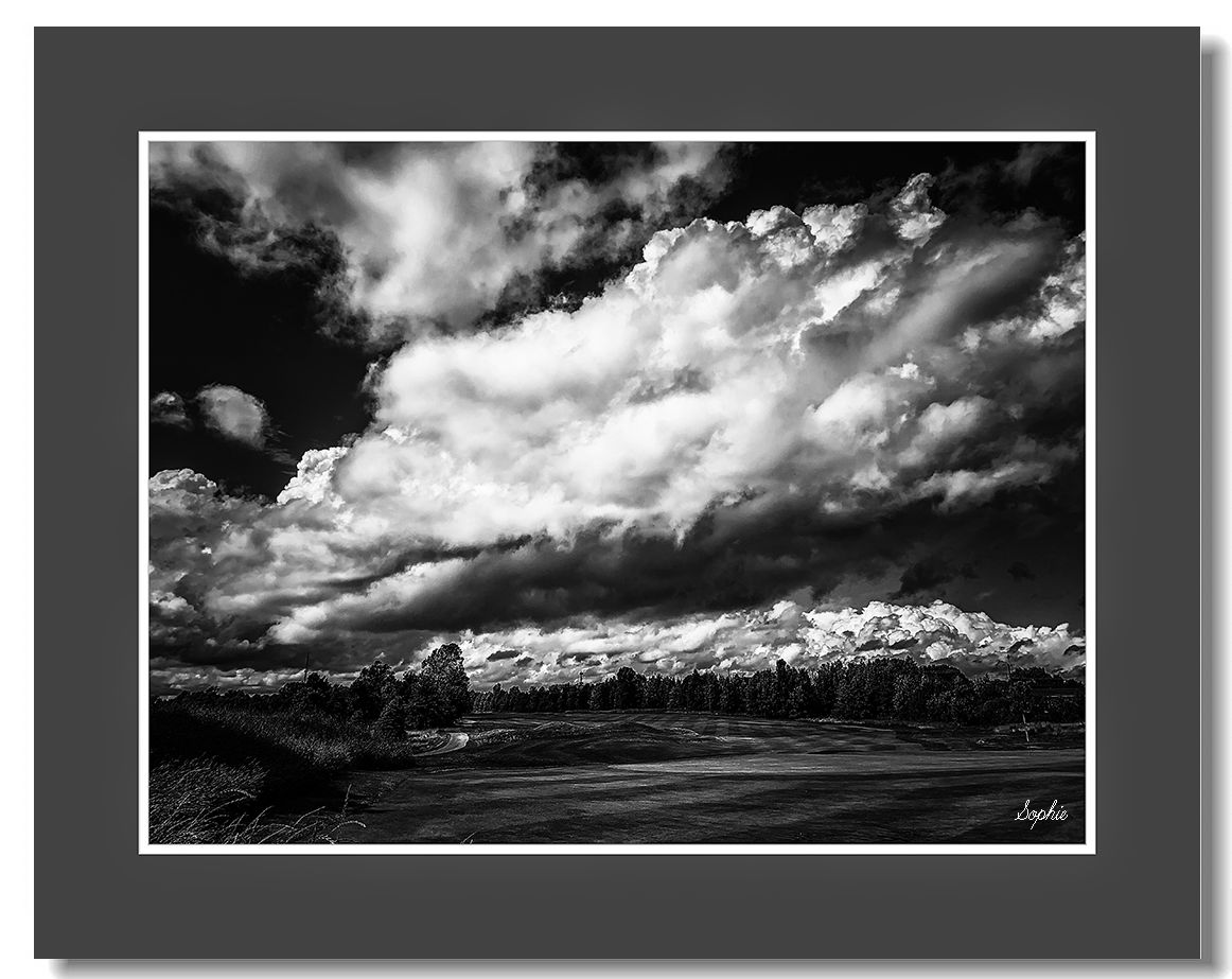 20190625170955_48905.jpg IMG_E6025as.jpg