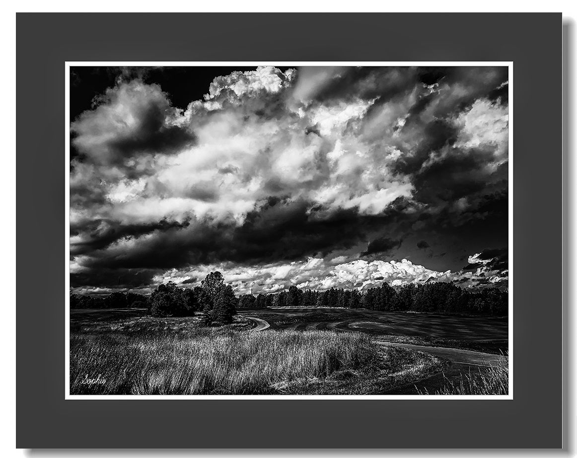 20190625171041_82060.jpg IMG_E6026bss.jpg