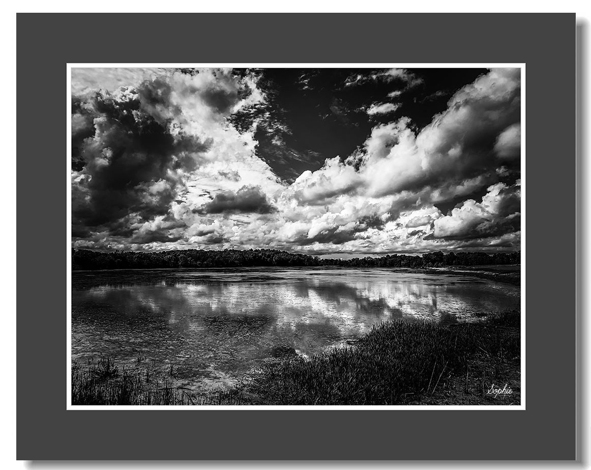 20190625171232_18312.jpg IMG_E6022s.jpg