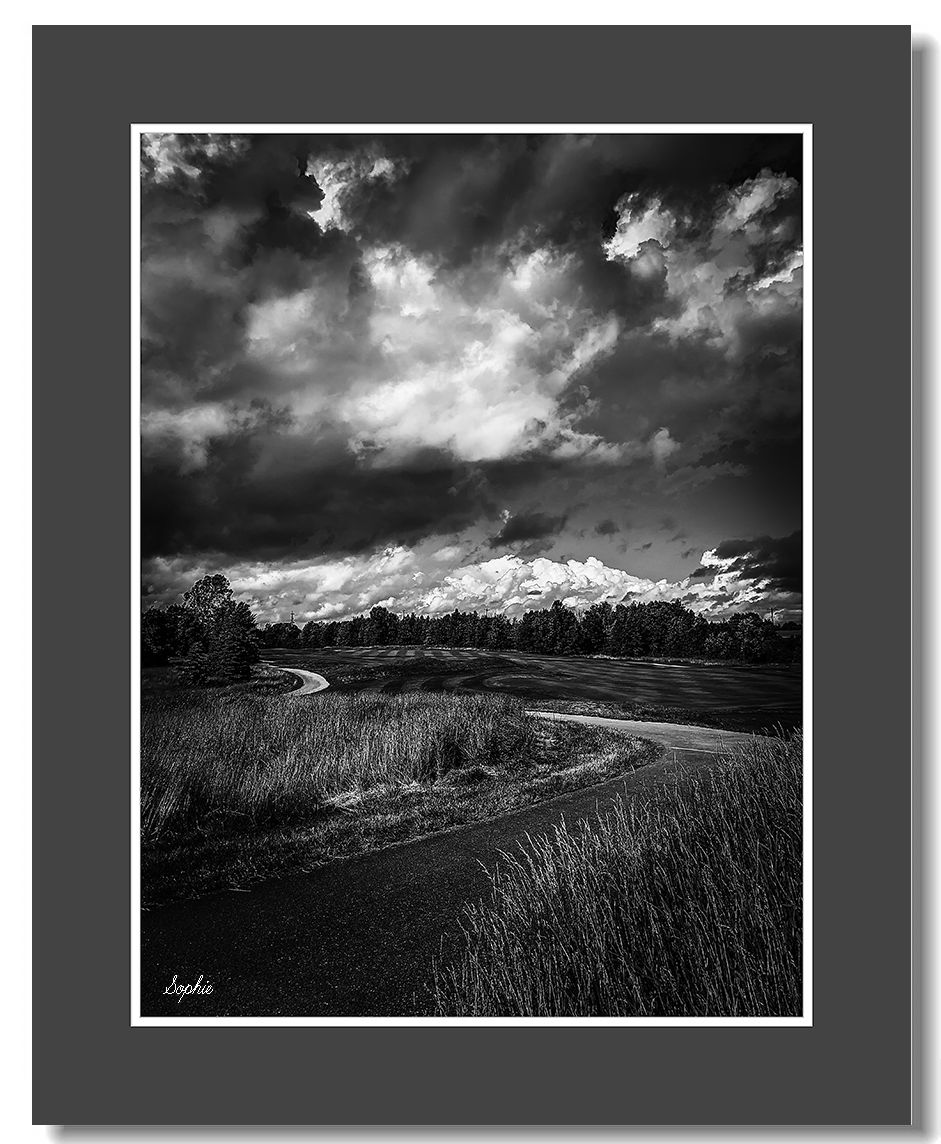 20190625171302_83255.jpg IMG_E6032as.jpg