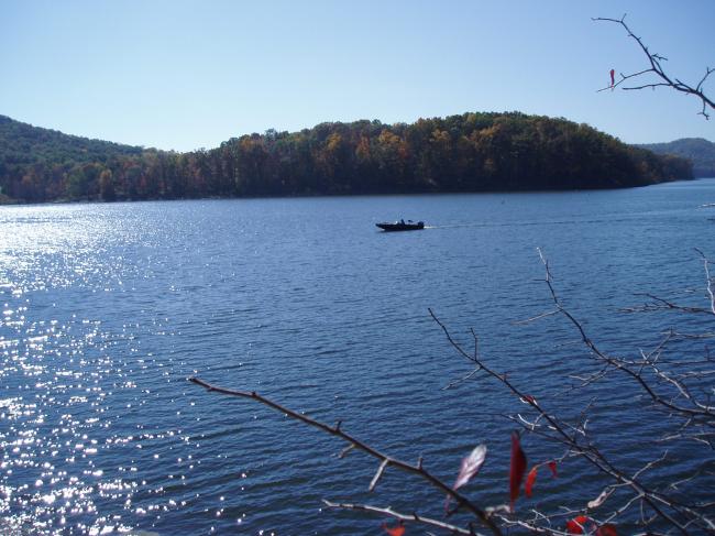 PA210010.JPG