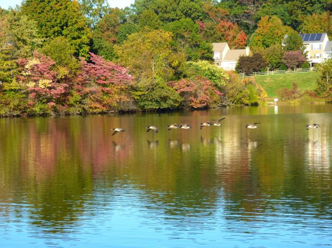 0019.jpg