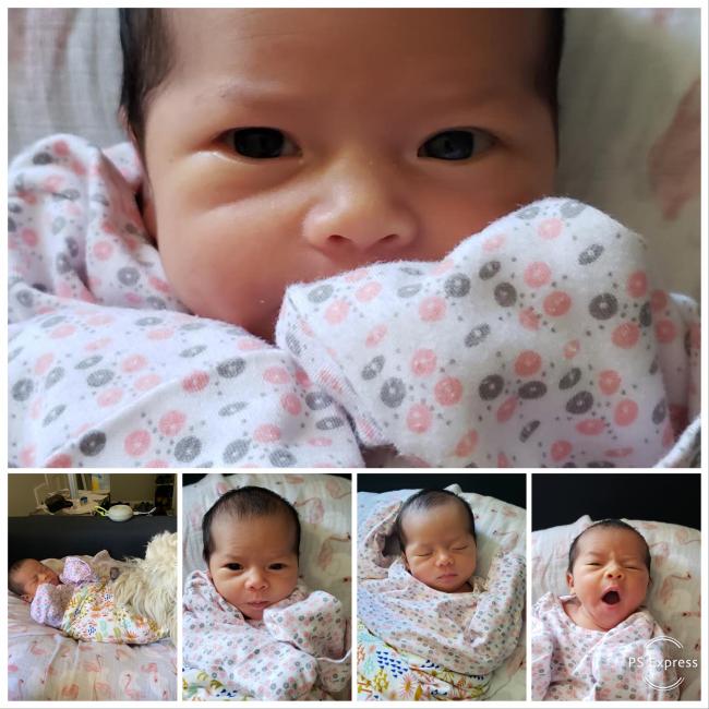 20200421115359_50389.jpg E01422AC-3D06-4844-8FC8-69BDB649E0C5.JPG