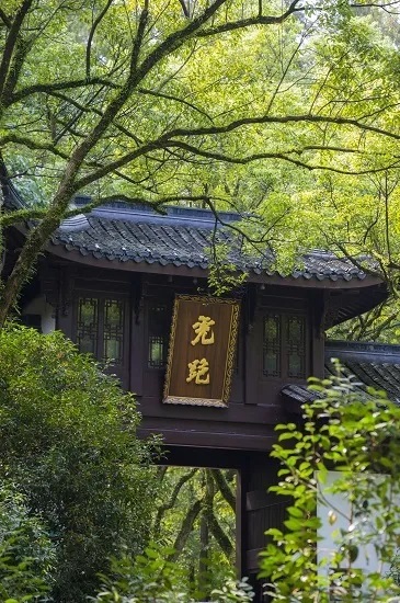 20200503072311_75447.jpg 4 虎跑.jpg