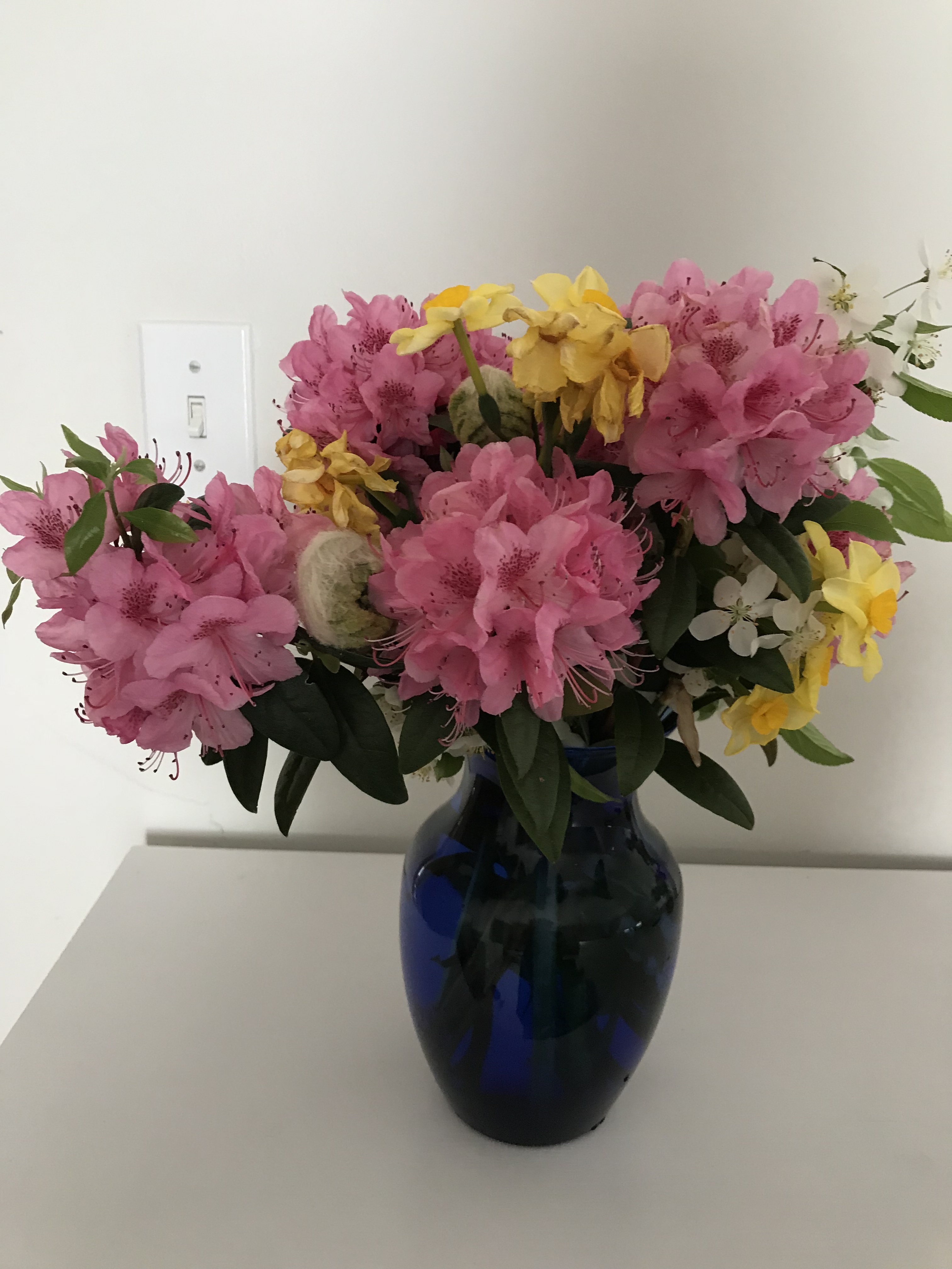 20200517122227_32039.jpeg 7630EB18-75D4-4399-9596-16A4F7AB4113.jpeg