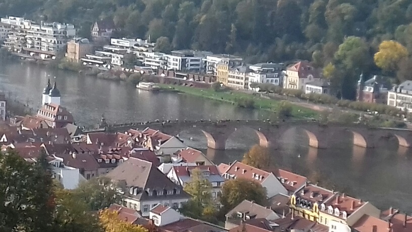 20200815073825_11470.jpg 20191020_161712_resized.jpg