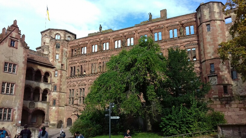 20200815080115_60784.jpg 20191020_150922_resized.jpg