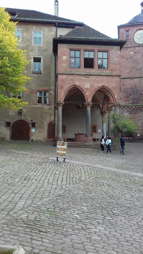 20200815080154_66056.jpg 20191020_151018_resized.jpg