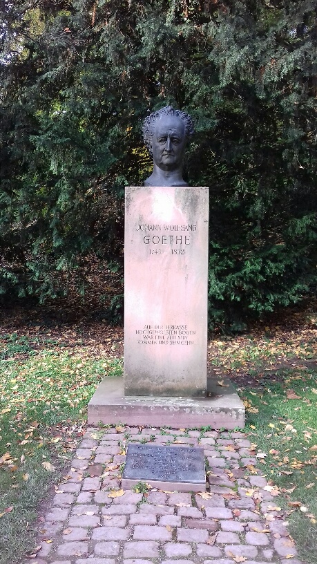 20200815080317_15177.jpg 20191020_161408_resized.jpg