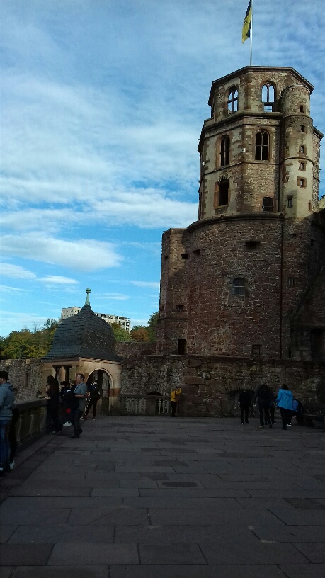 20200815080714_45933.jpg 20191020_152554_resized.jpg