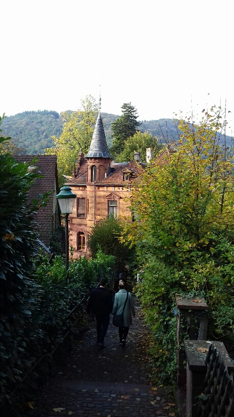 20200815080741_19628.jpg 20191020_163336_resized.jpg