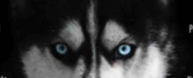 20200923122222_76631.jpeg B5FD8F04-3E32-4DBA-83D0-11156A270A2A.jpeg