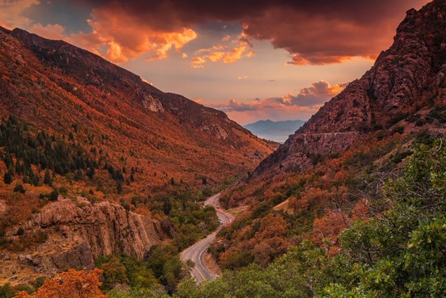 20200923173824_41683.jpg IMG_0463.JPG