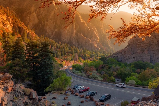 20200923173834_44859.jpg IMG_0464.JPG