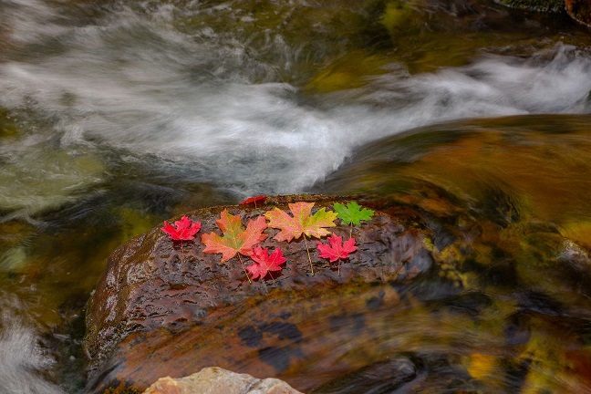 20200923173852_44803.jpg IMG_0466.JPG