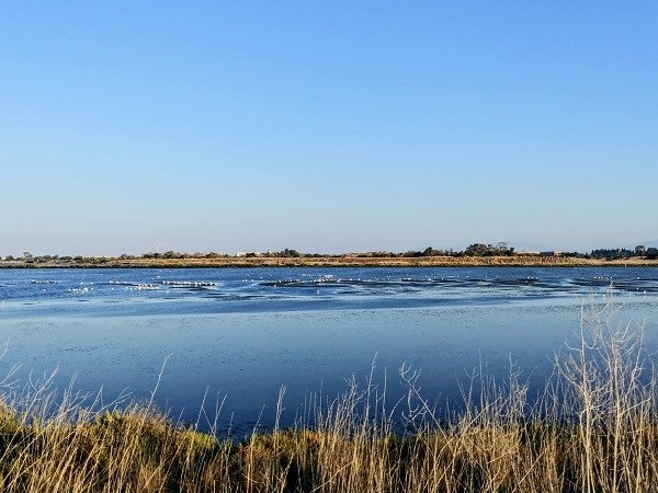 25-2 Ů Shoreline Park.jpg