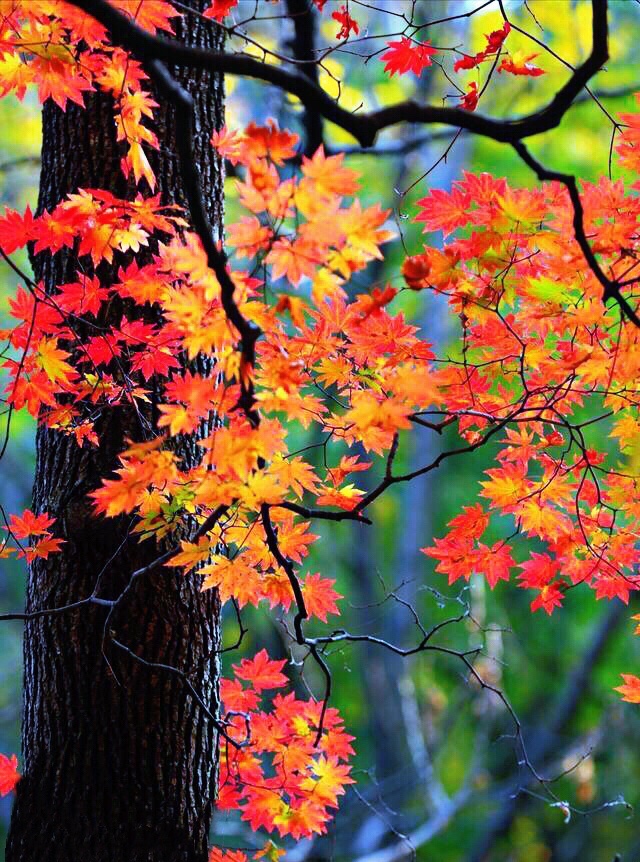 20201106153345_72301.jpeg 5BC52321-D85E-427C-B01E-08A5C8C2B626.jpeg