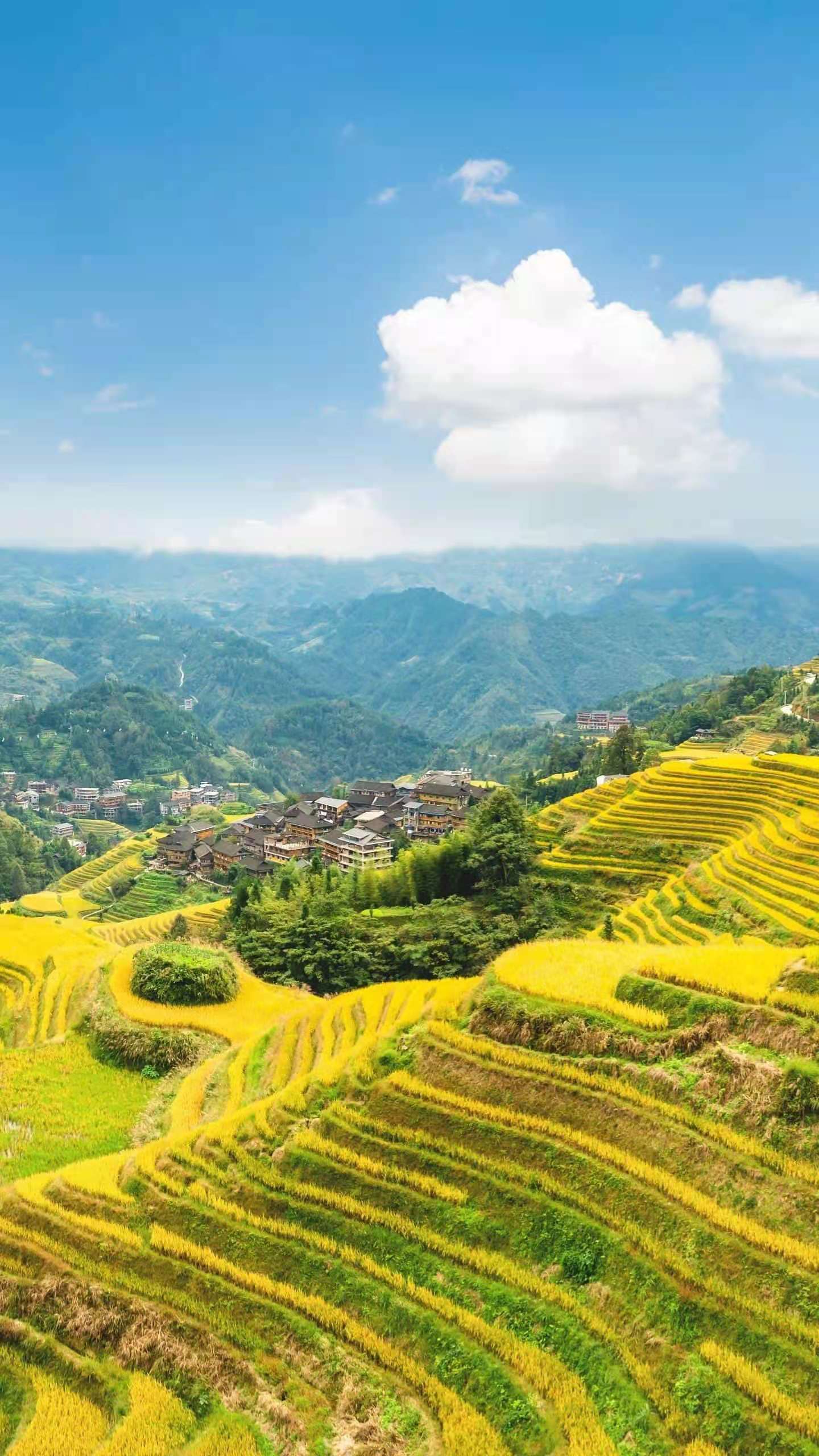 20210317195208_34139.jpg 微信圖片_20210318105146.jpg