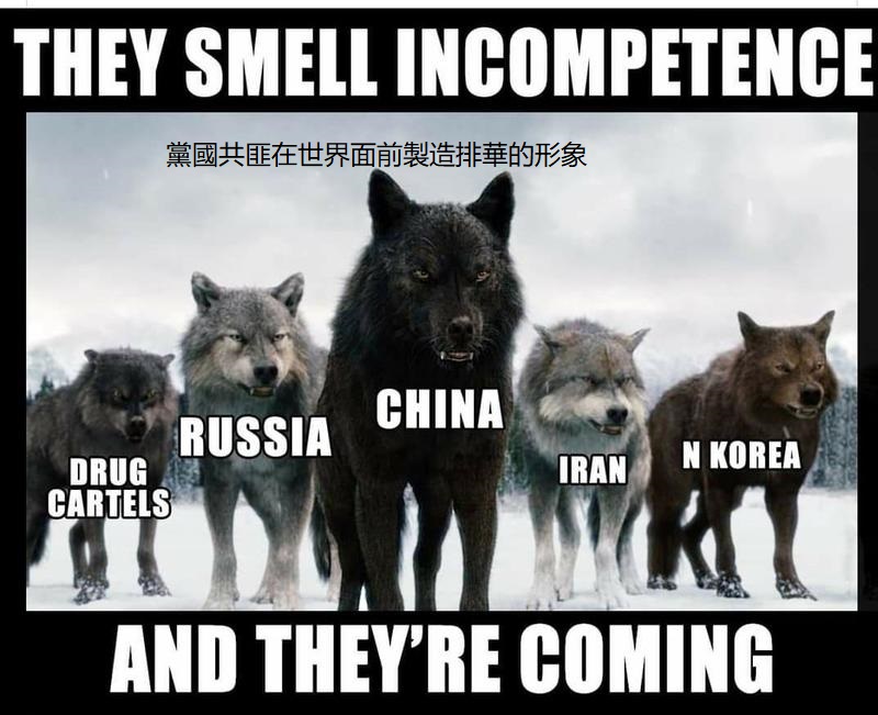 �h���������A����.jpg