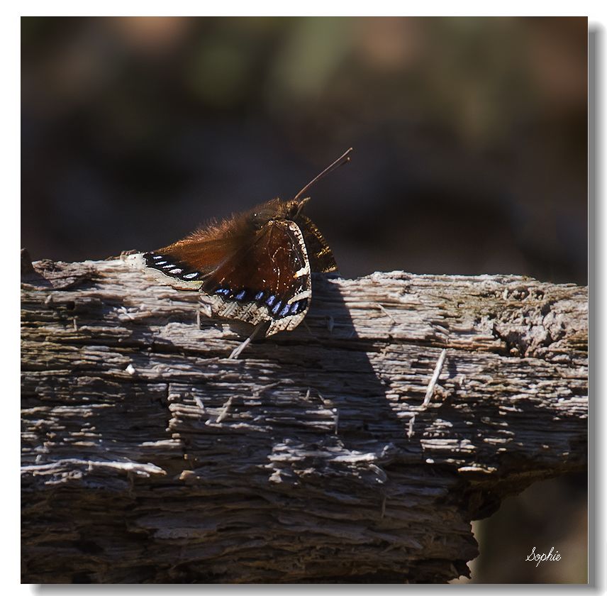 20210512133008_50393.jpg _DSC5963s.jpg