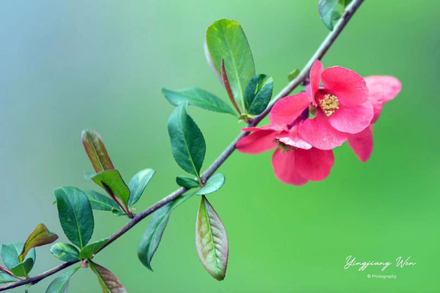 20210521141551_21306.jpg 4.jpg